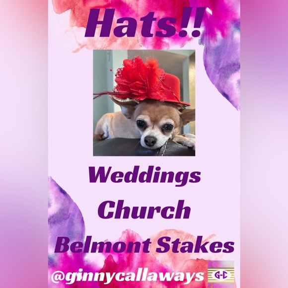 Like to be notified of @ginnycallaways shows - Picture 2 of 7